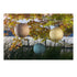 Allsop Ink Allsop Market 12" Globe Soji Stella Solar Lantern ASP-31407