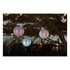 Allsop Ink Allsop Market 12" Globe Soji Stella Solar Lantern ASP-31407