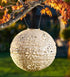 Allsop Pearl Allsop Boho 12" Globe Soji Stella Solar Lantern ASP-31598