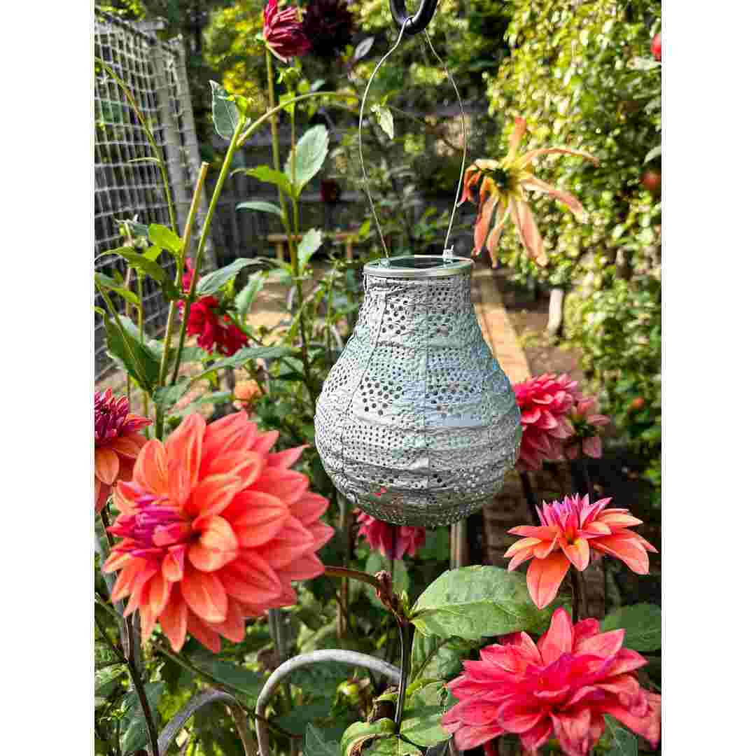 Allsop Sage Allsop 8" Handblown Glass Bulb Solar Lantern ASP-32510