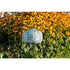 Allsop Sage Allsop Square Sunflower 11" x 7.25" Solar Lantern ASP-32531