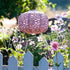Allsop Clay Allsop Square Sunflower 11" x 7.25" Solar Lantern ASP-32532