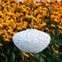 Allsop Porcelain Allsop Crown Chantilly Lace 13" x 7.25" Solar Lantern ASP-32533