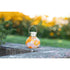 Allsop Mai Tai Allsop Tea Lantern Hand Blown Glass Solar Lantern ASP-32805