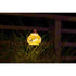 Allsop Mai Tai Allsop Tea Lantern Hand Blown Glass Solar Lantern ASP-32805
