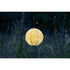 Allsop Marigold Allsop Monstera 12" Globe Soji Stella Solar Lantern ASP-32810