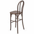 Chivari Fruitwood Resin Steel Skeleton™  Bentwood Barstool  - 2 Pack - Some Assembly Required BBRF-KD-ST-AX-2