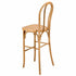 Chivari Natural Resin Steel Skeleton™  Bentwood Barstool - 2 Pack - Some Assembly Required BBRN-KD-ST-AX-2