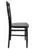 Chivari Black Steel Skeleton™ Resin Napoleon Chair CNRB-STEEL-CX-T