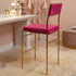 Chivari Melissa Barstool in Gold Stainless Steel Frame with Fuchsia Cushion Seat and Back BMMG-FU-KIT-AX