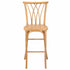 Chivari Natural Resin Steel Skeleton™  Willow Barstool - 2 Pack - Some Assembly Required BWRN-KD-ST-AX-2