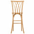 Chivari Natural Resin Steel Skeleton™  Willow Barstool - 2 Pack - Some Assembly Required BWRN-KD-ST-AX-2