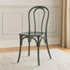 Chivari Clear Smoke Resin Bentwood Chair CBRSM-ZG-T