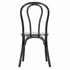 Chivari Clear Smoke Resin Bentwood Chair CBRSM-ZG-T
