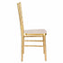 Chivari Bullion Gold Resin Steel Skeleton™ Chiavari Chair with Color Core CCRGBCC-ST-A