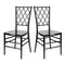 Chivari Black Diamond Resin Chair - 2 Pack - Some Assembly Required CDRB2-U-ZG-T-2