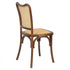 Chivari Chestnut Emma Resin Chair with Natural Cane Back and Rattan Seat CERC-ZG-T