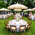 Chivari 100 Pack Chestnut WoodGrain Resin Folding Chairs with Tan Cushions CFRCB-I-AX-T-100