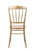 Chivari Gold Steel Skeleton™ Resin Napoleon Chair CNRG-STEEL-CX-T