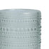 Zwiesel Fortessa Fortessa D&V Jupiter Sage Ice Bev Glass 13oz (.35L) 7.5x12.5cm - Case of 24 - DV.JUPITERSG.03 ZFG-DV.JUPITERSG.03
