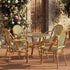 Toulouse Beige and Green French Bistro Set Includes 40" Table and 4 Chairs with Arms FBK-BG-AW4-AX