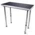 ProX ProX XSQ-2X4 StageQ MK2 2 x 4 Ft. Single Portable Stage Unit Height Adjustable from 28 to 48 in. XSQ-2X4 MK2